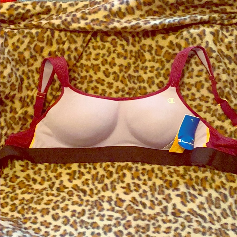 NWT champion sports bra 36D